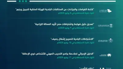 مشروع