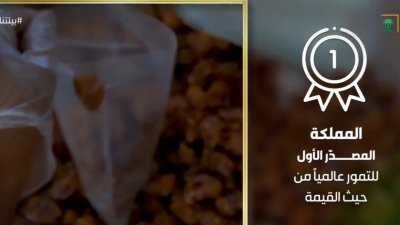 قطاع النخيل والتمور في المملكة جوهرة الزراعة الوطنية، تمتد جذوره عبر قرون من التراث والإبداع. 